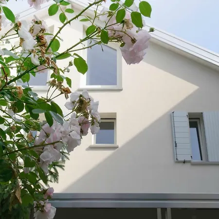 Eco Apartments Cervia Exterior photo